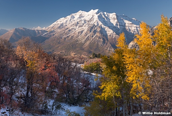 Timpanogos Cascade Meadows 101218 06240596 4