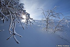 Frostyaspensdeervalley8122410 445