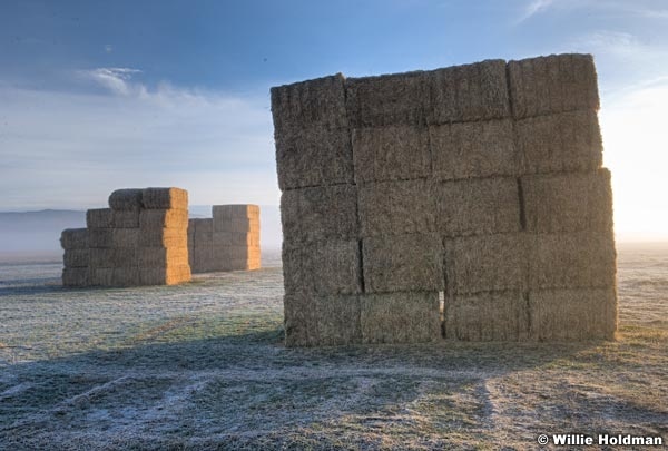 haystackheber
