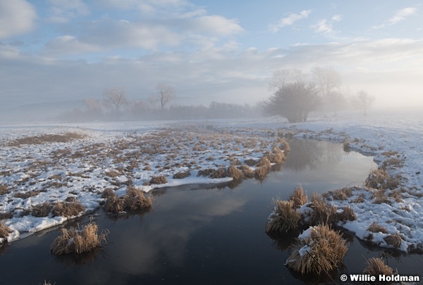 Soft Winters Morn 122120 6324 3