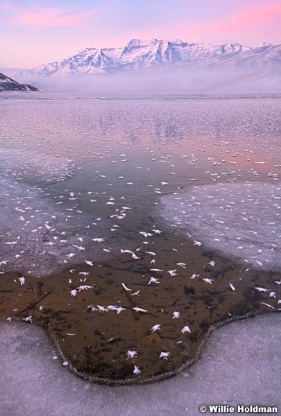 Deer Creek Frost Timpanogos 010419 2164 3