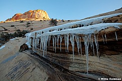 Zion Snow Eastrim 032012 605