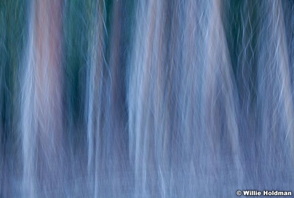 Abstractimpressions101510 6069