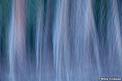 Abstractimpressions101510 6069