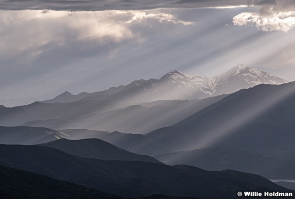 Box Elder Rays