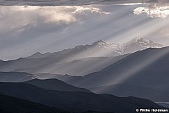 Box Elder Rays