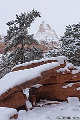 Red Rock Snow 012023 2335