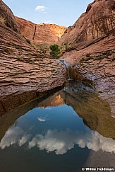 Escalante Willow Gulch 082015 6395