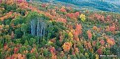 Aspengroup091510pan