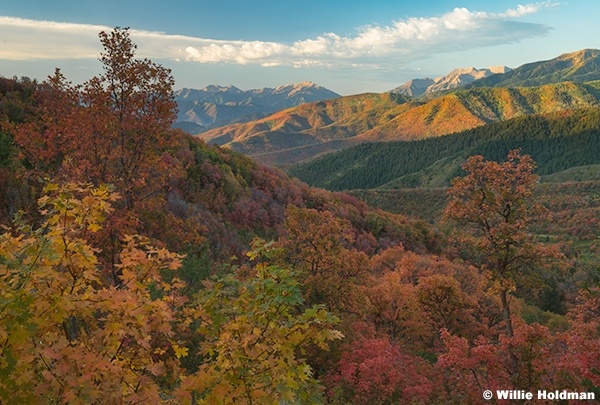 Wasatch Mountain Layers 091525 5661