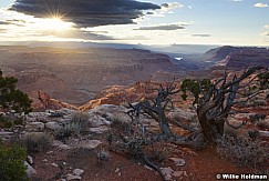 Southern Utah Desert 110517 7782