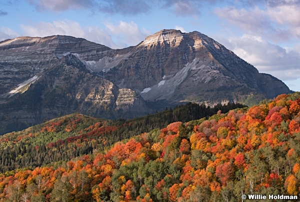 Timpanogos Autumn Color 093019 4184 4