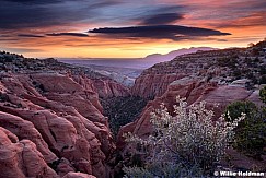Sunrise Water Pocket FoldF 041226 3030 2