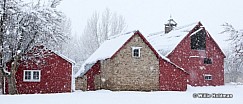 Bonnerbarnpano021212