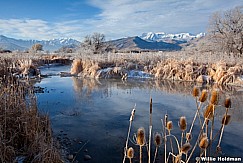 MidwayMarsh122711 43