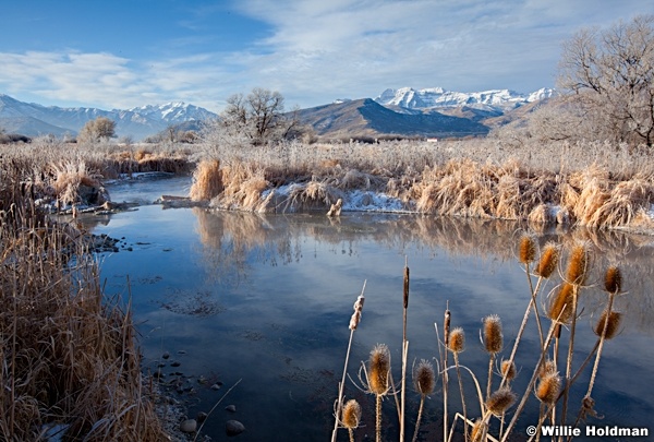 MidwayMarsh122711 43