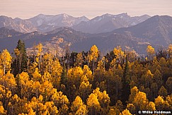Wasatch Range Aspens 100814 1557 2