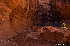 Escalante Slot Canyon 06516 1156