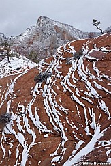 Zion Winter Slickrock 031912