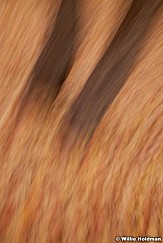Abstractimpressions101510 6700