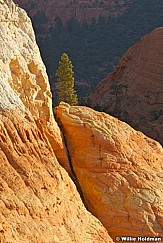 Thousandlakemtnbouder101307