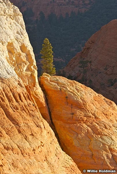 Thousandlakemtnbouder101307