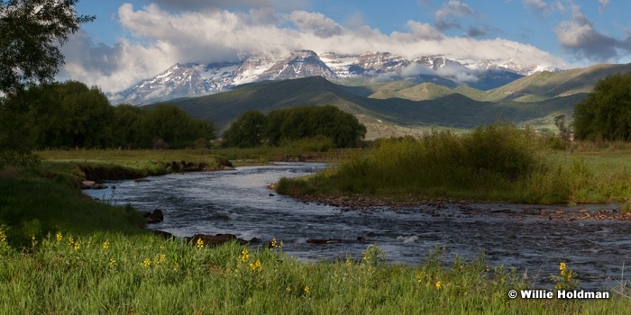 Timpanogos Provo River 053013