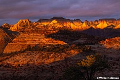 Zion Red Towers Of Virgin 10326 2130