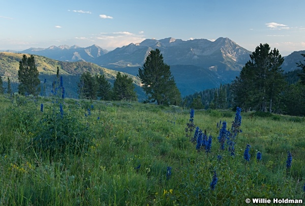 Timpanogos Miller Hill 080715 2