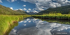 Christmas Meadows Reflection 080617