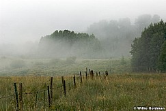 crestedbutte080807 964