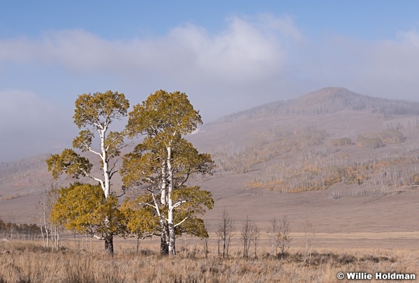 Two Aspens 101019 7920 4