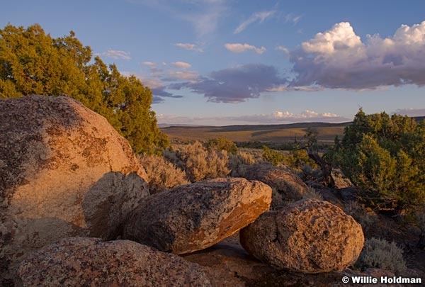 Boulders Desert Highlands 081514 2
