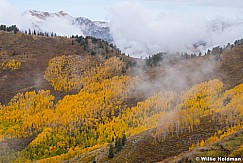 Twin Peaks Yellow Aspens 092921 5529