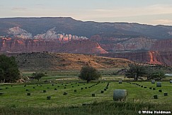 Green Fields Thousand Lake Mountain 091024 8797