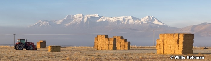 Hebertractortimp