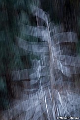 Abstractimpressions101510 7088