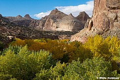 The Nipple Cottonwood Trees 103024 6280