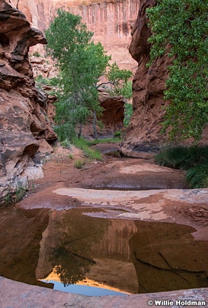 Escalante Choprock Canyon 060516 0838 2