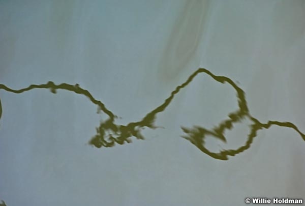 powellwaterabstract