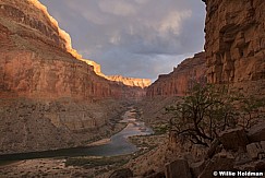 Grand Canyon Nankoweap 042221 1539