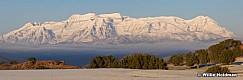 Redcliffstimp