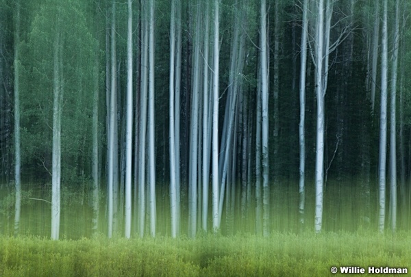 Aspen Abstract 080713 0961