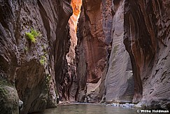 Zion Narrows 110619 4813 2