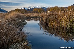 Timpanogos Cottonwoods Stream 103021 1167 1168