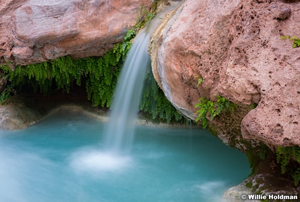Havasu River 041616 9429