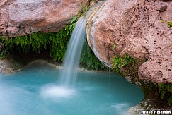 Havasu River 041616 9429