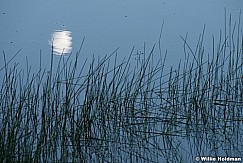 Moon Reflection Abstract 071716 9334 2