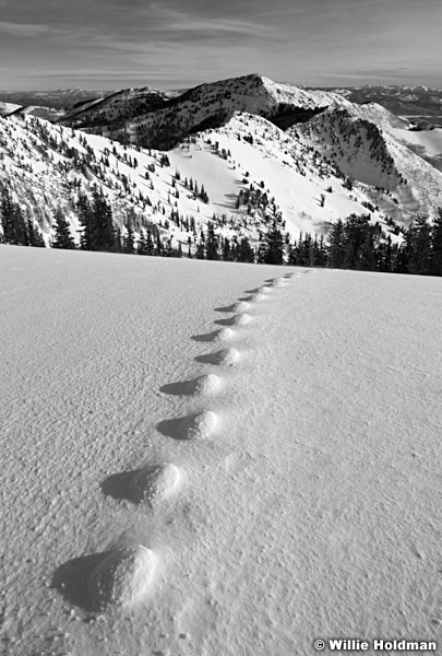 oddtracks121310 1615BW