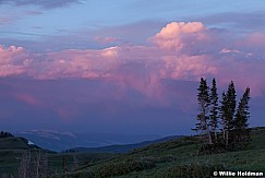 Pines Clouds 062113 731
